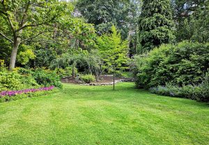 Optimiser l'expérience du jardin à Saint-Riquier-ès-Plains